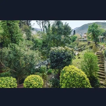 Bed and breakfast Iolanda Vorno Lucca Capannori
