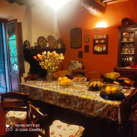 Iolanda Vorno Lucca Bed and breakfast