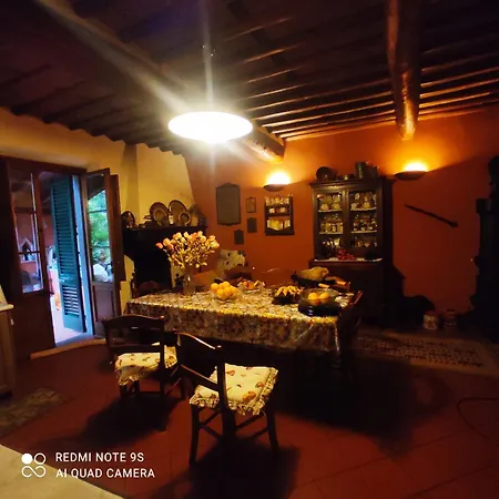 Iolanda Vorno Lucca Bed and breakfast Capannori